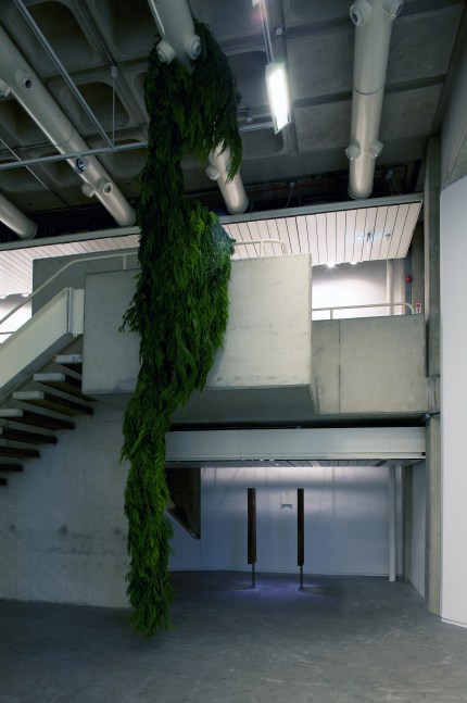 Installation view of works by Trisha Donnelly