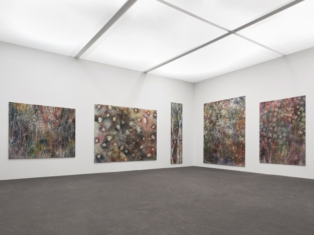 Installation view of paintings by Sam Falls
