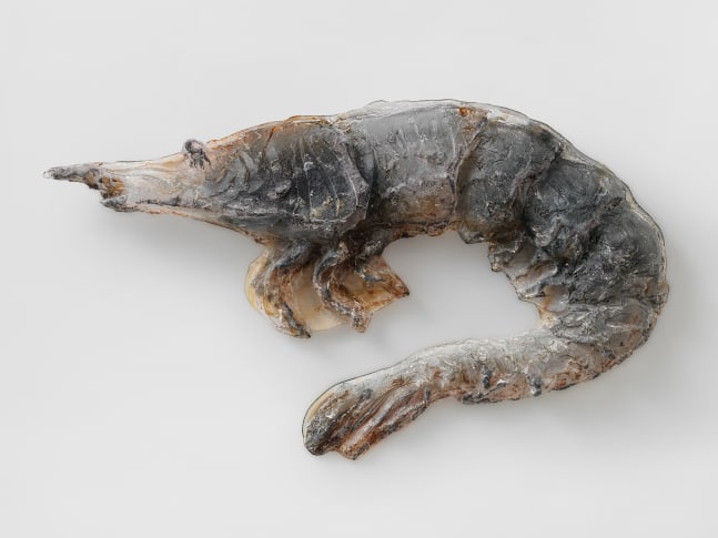 JEAN-MARIE APPRIOU
Shrimp 9
2019
Glass, aluminum
Unique
Approx. 68 x 44 x 9 cm / 26 3/4 x 17 3/8 x 3 1/2 inches