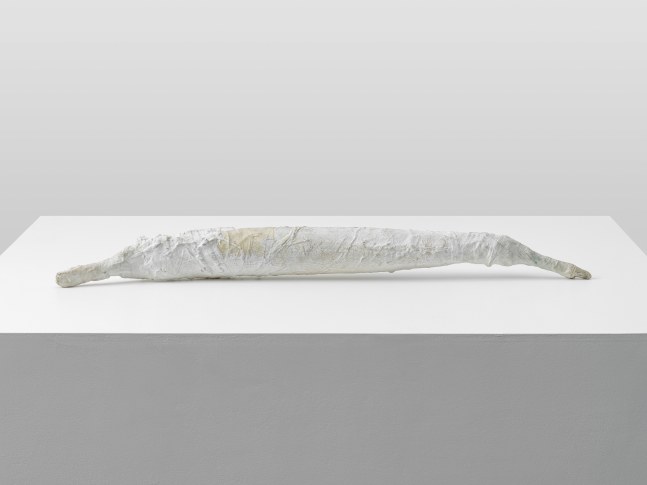 Passstück

1992

Dispersion, gauze, silicone, iron

&amp;oslash; 10 x 96 cm / &amp;oslash; 3 7/8 x 37 3/4 in

&amp;copy; Archiv Franz West &amp;copy; Estate Franz West