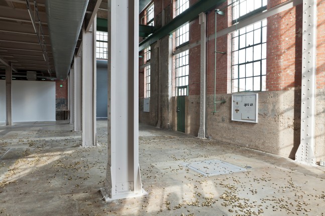 Installation view of sculptures by Matias Faldbakken