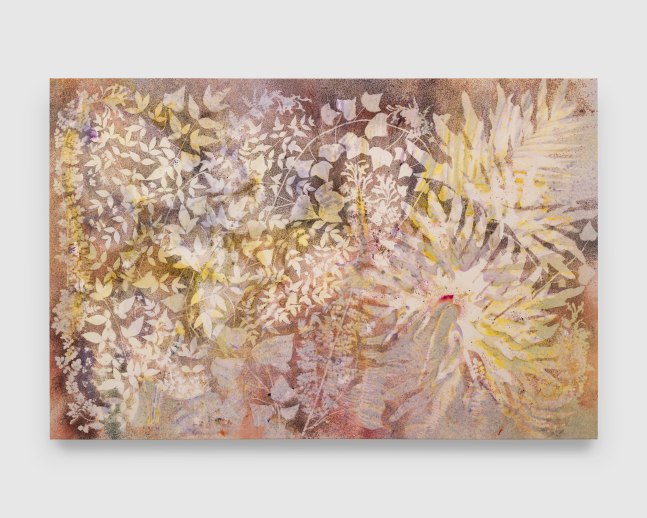 Ledgewood

2025
Pigment on canvas
132 x 200 cm / 52 x 78 3/4 in

&amp;copy; Sam Falls