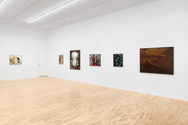 Installation view of Lucas Blalock photography and sculpture exhibition