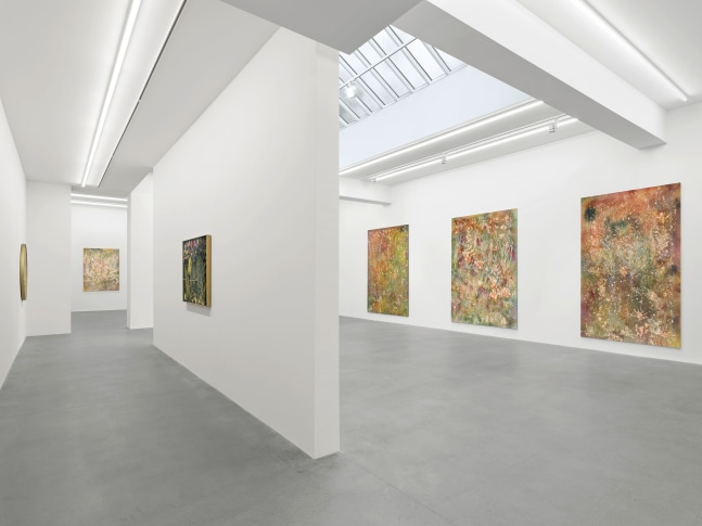 Installation view, Sam Falls, Galerie Eva Presenhuber, Waldmannstrasse, Zurich, 2025