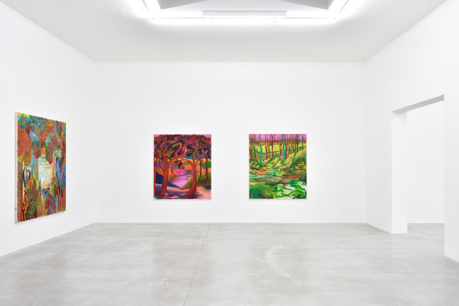 Installation view of Paintings by Shara Hughes
