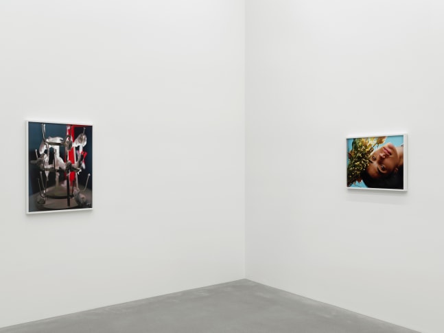 Installation view of Torbjørn Rødland photography and film exhibition