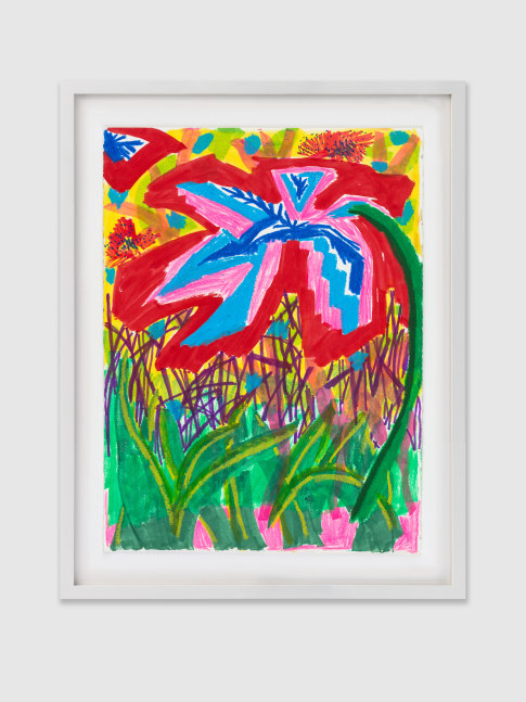 Drawing by Shara Hughes