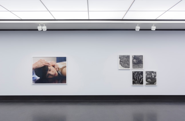 Installation view of photographs by Torbjørn Rødland