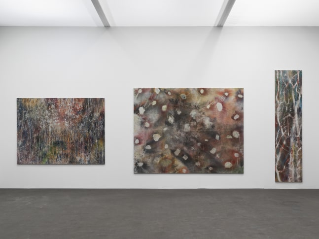 Installation view of paintings by Sam Falls