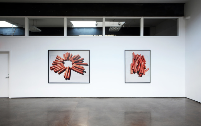 Installation view of Works by Lucas Blalock