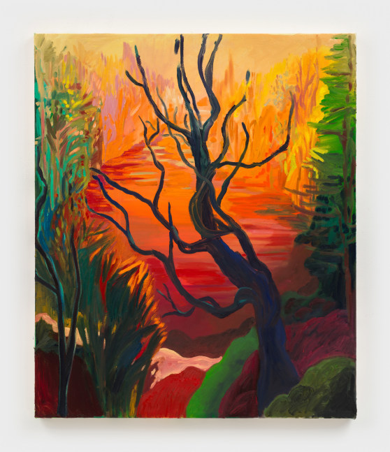 Still and Familiar

2024

Oil, acrylic and dye on canvas

91.5 x 76 cm / 36 x 30 in

&amp;copy; Shara Hughes