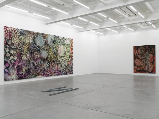 Installation view of Sam Falls paintings and sculptures exhibition