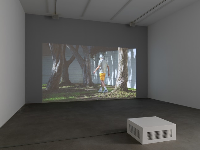 Installation view of Torbjørn Rødland photography and film exhibition