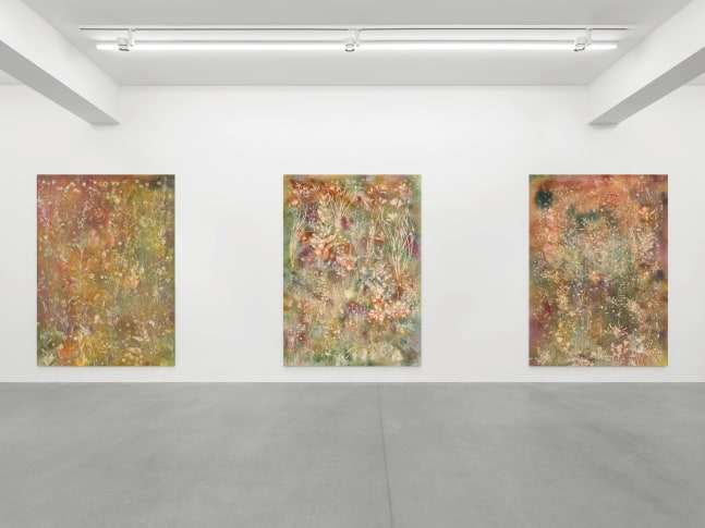 Installation view, Sam Falls, Galerie Eva Presenhuber, Waldmannstrasse, Zurich, 2025
