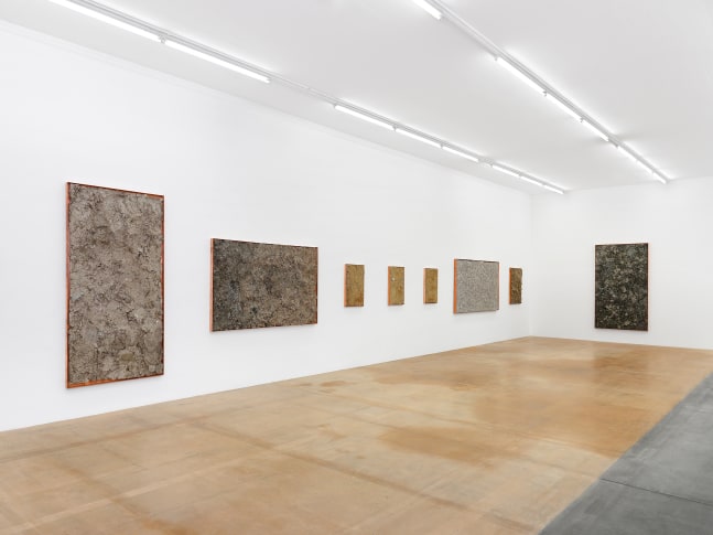 Installation view of wall works by Walead Beshty