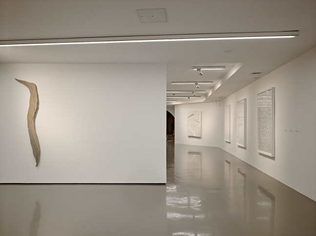 Installation view of works by Wyatt Kahn