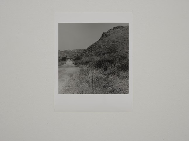 Installation view of works by Trisha Donnelly