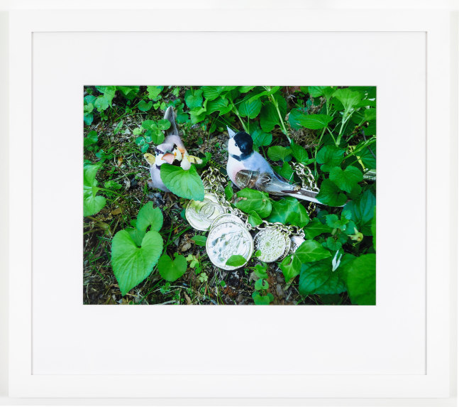 The golden coins in the forest 

2013

C-print

Ed. 3/5

Image 38 x 51 cm / 15 x 20 in

&amp;copy; Karen Kilimnik