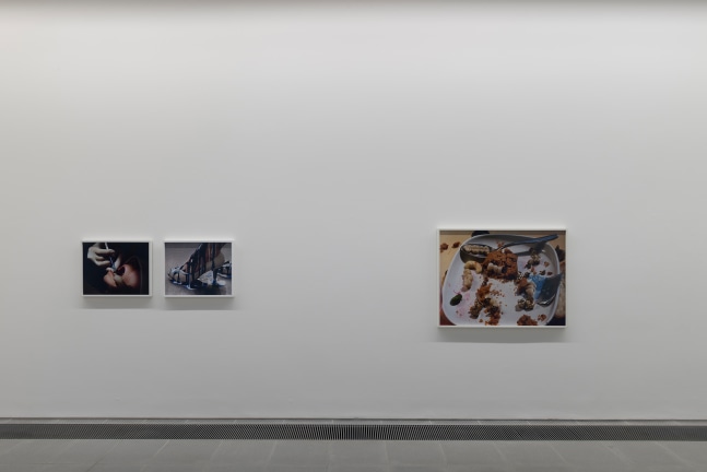 Installation view of photographs by Torbjørn Rødland