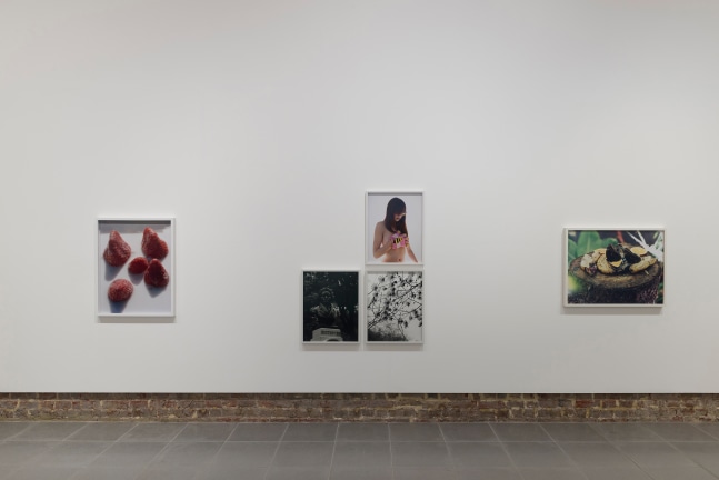 Installation view of photographs by Torbjørn Rødland