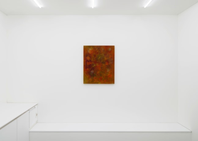Installation view, Sam Falls, Galerie Eva Presenhuber x P21, Seoul, 2024