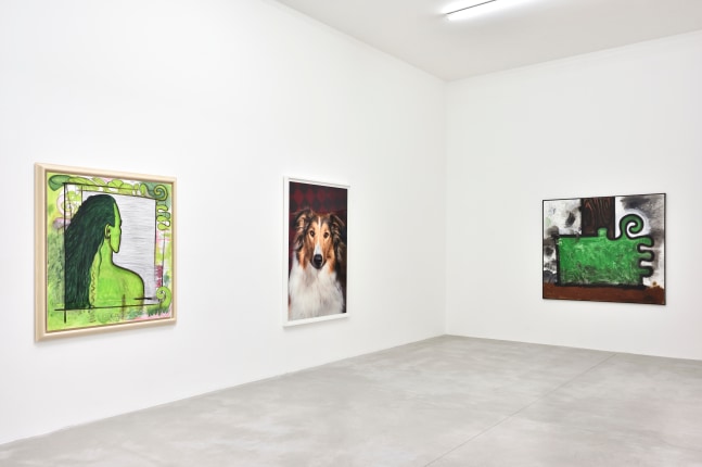 Installation view, Carroll Dunham &amp;amp; Laurie Simmons, Consortium Museum, Dijon, 2024
