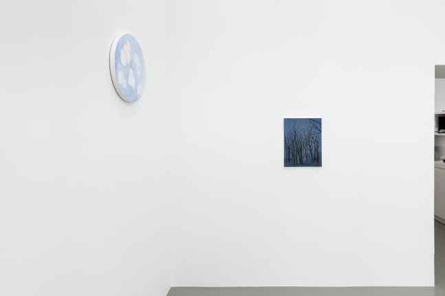 installation view of drawings and paintings by Karen Kilimnik