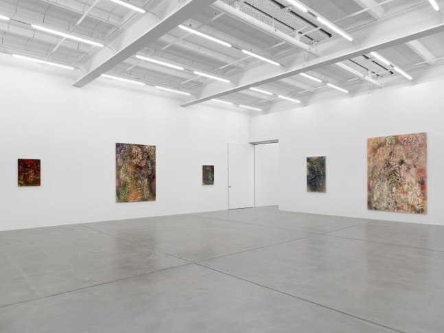 Installation view of Sam Falls paintings and ceramic reliefs exhibition