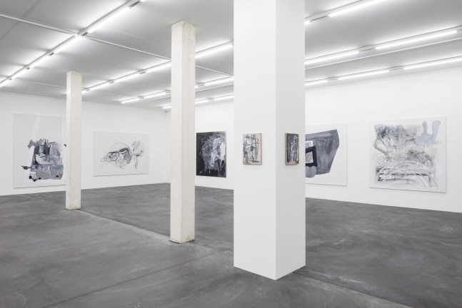 Installation view of Tobias Pils paintings and works on paper exhibition