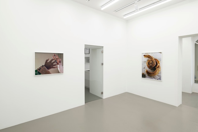 Installation view, Torbj&amp;oslash;rn R&amp;oslash;dland, Slow Life Strategies, Galerie Eva Presenhuber, Vienna, 2025