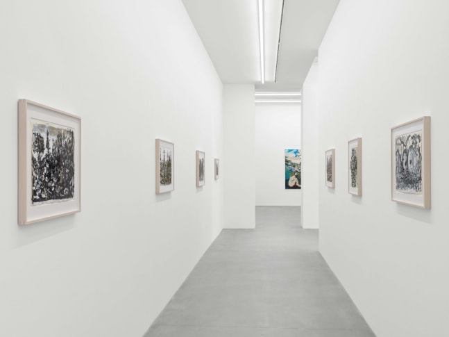 installation view verne dawson