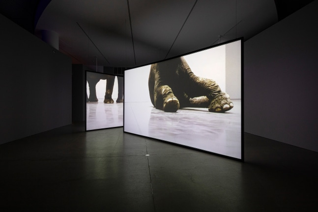 Installation view of video work by Douglas Gordon