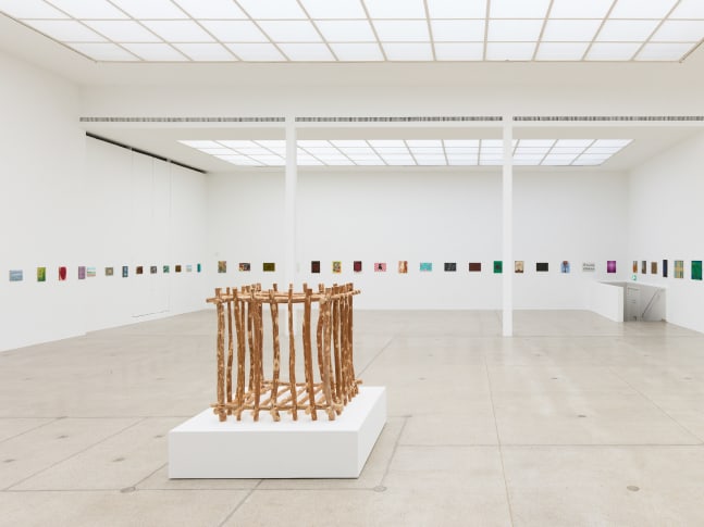 installation view of works by Jean-Frédéric Schnyder
