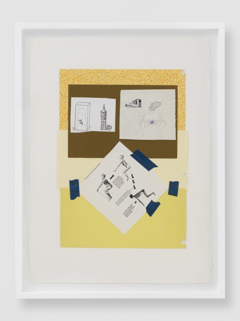 work by sue williams