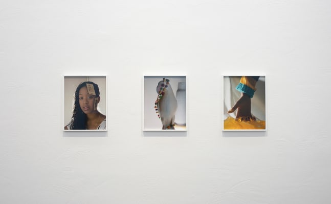 Installation view of photographs by Torbjørn Rødland