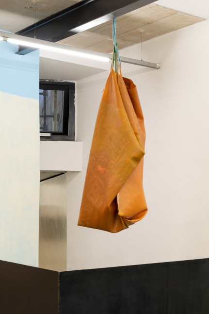 Den 

2022

Latex, rope, jute, pigment, silicone oil

270 x 130 x 100 cm / 106 1/4 x 51 1/8 x 39 3/8 in

&amp;copy; Liesl Raff