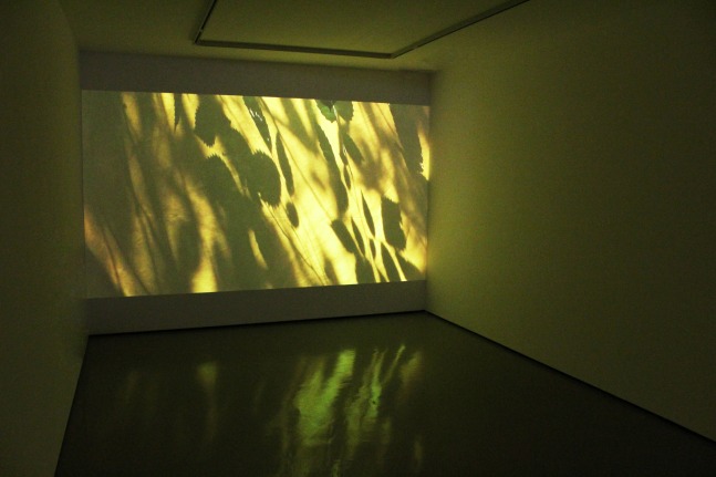 Installation view of video work by Sam Falls