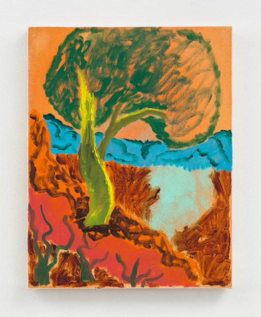 By My Lonesome

2020

Oil, acrylic, and dye on canvas

35.5 x 28 cm / 14 x 11 in

&amp;copy; Shara Hughes