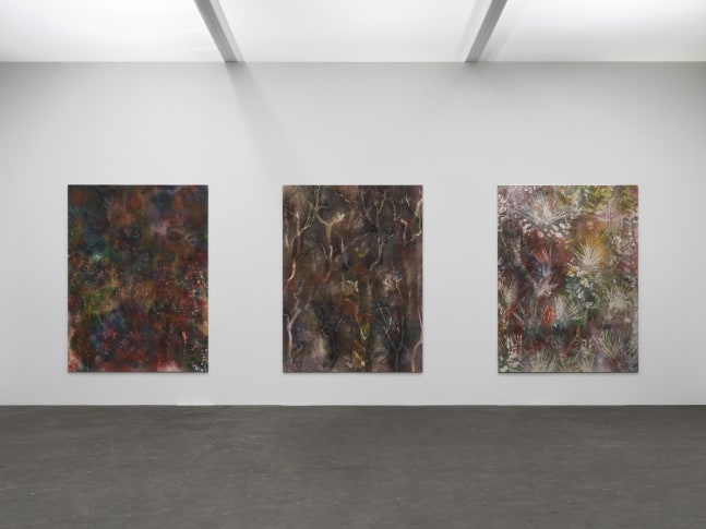 Installation view of paintings by Sam Falls