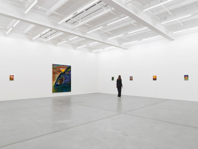 Installation view of Shara Hughes paintings