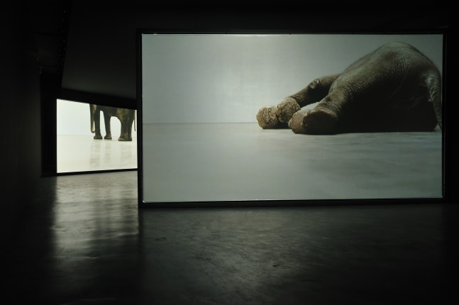 Installation view of video work by Douglas Gordon
