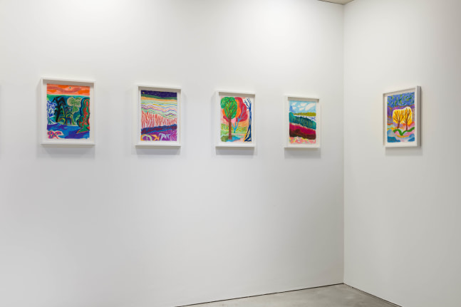 Installation view of Drawings by Shara Hughes