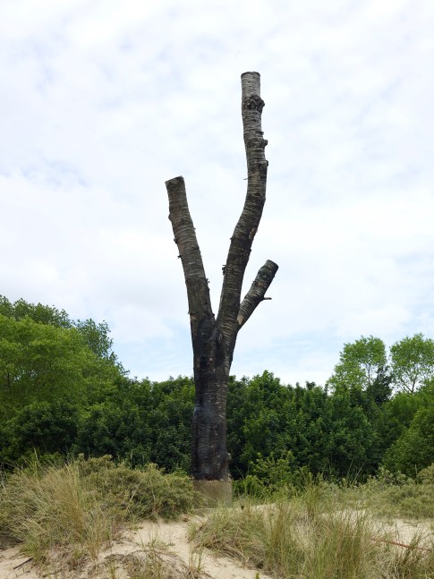 Installation view of sculpture by Oscar Tuazon