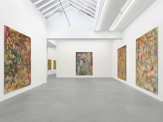 Installation view, Sam Falls, Galerie Eva Presenhuber, Waldmannstrasse, Zurich, 2025