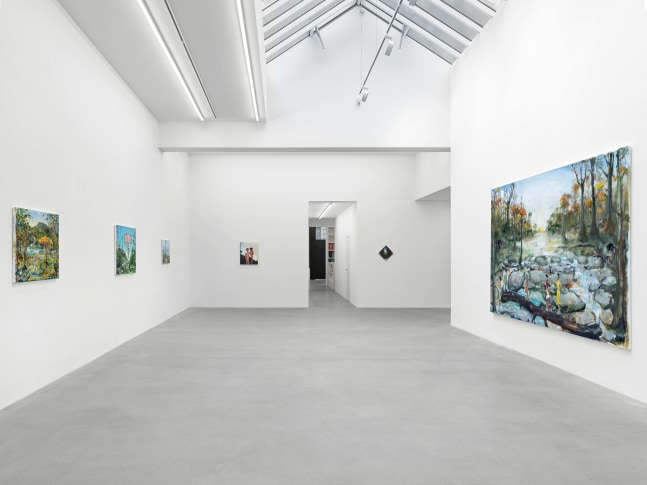 installation view verne dawson