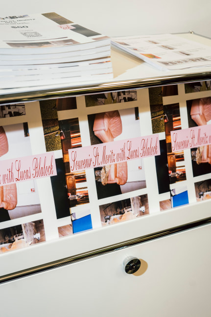 Installation view, Lucas Blalock, Souvenir Cinema, Swiss Consulate, New York, 2025