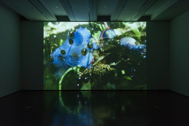Installation view of sculptures by Peter Fischli and David Weiss and works by Wade Guyton
