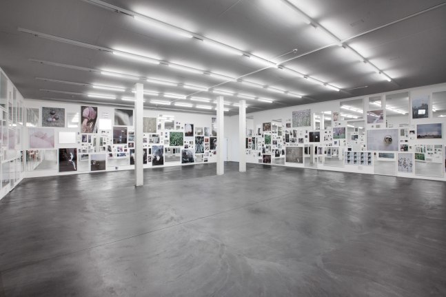 Douglas Gordon Everything is nothing without its reflection; A Photographic Pantomime 2013 180 Photographs, 180 mirrors; framed Dimensions variable