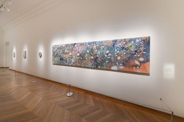 Installation view, Sam Falls, Science/Fiction &amp;ndash; Une Non-Histoire des Plantes, Maison Europ&amp;eacute;enne de la Photographie, Paris, 2024