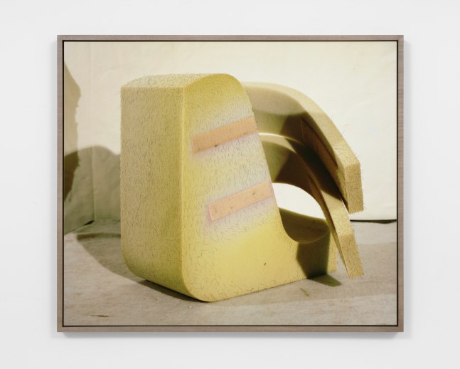 HAIRY ARMATURE
2019
Dye sublimation print on aluminum
Edition of 3 + 2 AP
Image 76 x 65 cm / 30 x 25 1/2 inches
BLALO47983